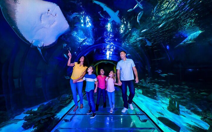 SEA LIFE Orlando Aquarium