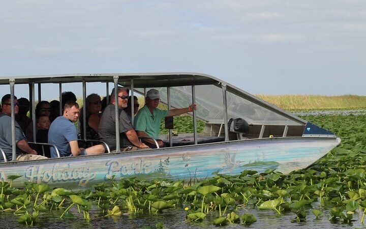 Excursión de 3 horas por los Everglades desde Miami